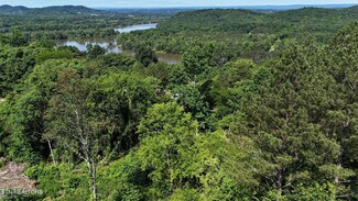 Lot 5 Lamontville Rd, Decatur, TN 37322