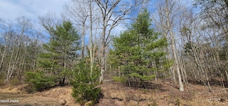 Lot 20.22 Woods Rd, Barryville, NY 12719