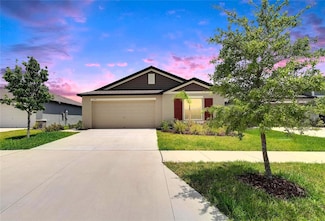 13187 Palmerston Rd, Riverview, FL 33579