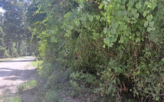 TBD Riverside Ave, Fort White, FL 32038