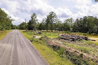 204 Doe Dr, Hopkins, SC 29061
