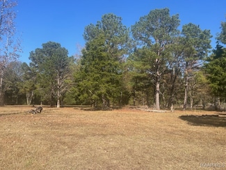 4.36 Acre Lot U S 80, Shorter, AL 36075
