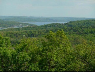Lot 228 Bethany Ln Unit Oak Creek Pkwy, Ruth C Township, MO 65737