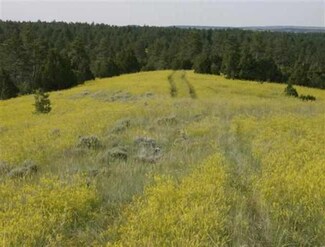 210 Sundown Trail, Upton, WY 82730