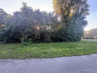 6361 N Keel Dr, Hernando, FL 34442