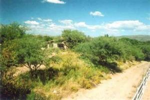 925 Sheepshead Crossing Rd, Cornville, AZ 86325