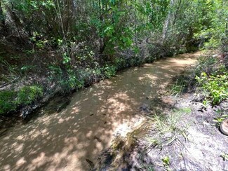 45 Acres Woodyard Rd, Defuniak Springs, FL 32435