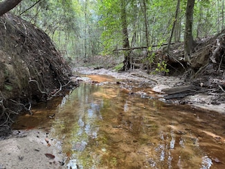 0 County Road 206, Jack, AL 36346