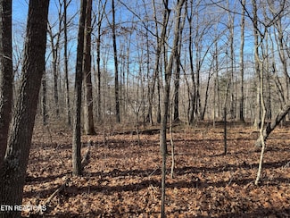 0 Sycamore Bend Unit 1291809, Monterey, TN 38574