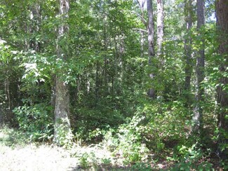 0 County Pond Rd, Freeman, VA 23856