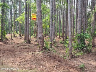 245 Georgetown Denver Rd, Georgetown, FL 32139