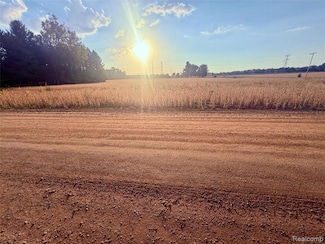 00 Raucholz Rd, Brant Township, MI 48616