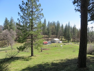 4196 Bald Mountain Rd, West Point, CA 95255