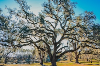 19533 NW County Road 250, Dowling Park, FL 32060