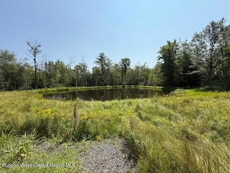 16 Kerness Rd, Wawarsing, NY 12428