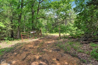 40 Bruce Mitchell Rd, Ravenden Spring, AR 72460