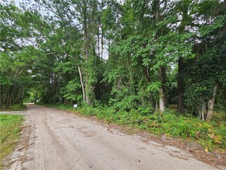 Lot 28 NE Big Pine St St NE, Townsend, GA 31331