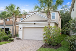 16030 Bella Woods Dr, Tampa, FL 33647