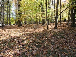 0 Bay Rd Unit SEC 13 LOT 2, Dubois, PA 15801