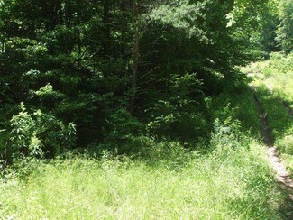 Lot 2 Shady Ln, Swamp Branch, KY 41240