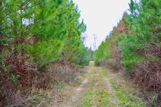 0 Highway 44 Unit LotWP001, Ruth, MS 39641