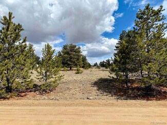 333 Jasper Way, Hartsel, CO 80449