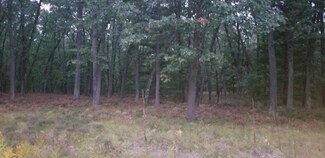 Unit 13 Katie Ln, Baldwin, MI 49304