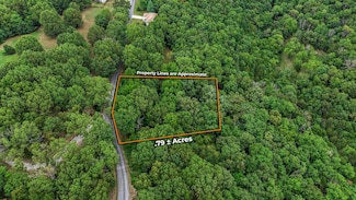 38 Mule Barn Dr, Flat Creek A Township, MO 65624