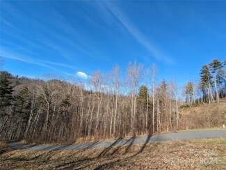 27 Bent Branch Ln Unit 10, Asheville, NC 28804