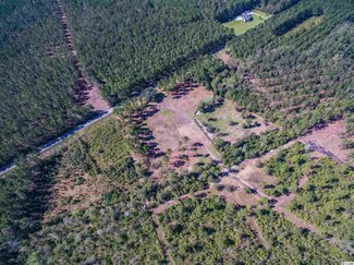 Lot A Alma Rd, Nichols, SC 29581