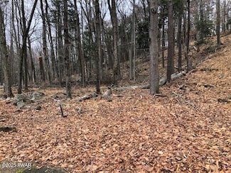 647 Larch Ln, Palmyra Township, PA 18426