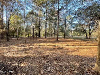 1555 Highway 177a, Bonifay, FL 32425