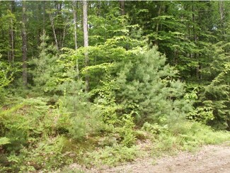 31 Hilliard Rd, Chichester, NH 03258