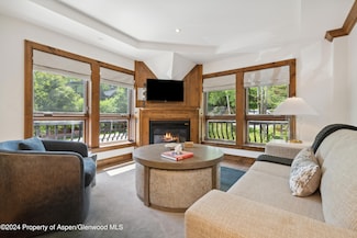 415 E Dean St Unit 44ABC Weeks 51/52, Aspen, CO 81611