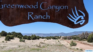 3XX Old Telegraph Ridge Rd, Silver City, NM 88061