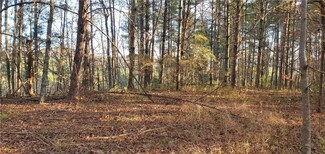 120 Sweetshrub Way, Sunset, SC 29685