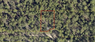 164 Honeysuckle St, Mossy Head, FL 32433