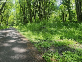 0 Bonneville Dr, Scappoose, OR 97056