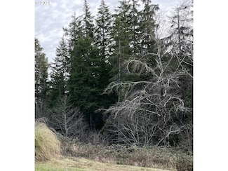 0 Groveland Ave Unit 5 & 6 24266108, Aberdeen, WA 98520
