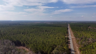 0 Tillman Cemetery Rd, Lumber City, GA 31549