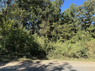 132 Alex Seals Ln, Brandon, MS 39042