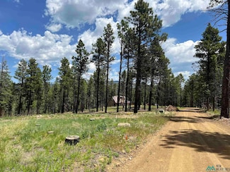 163 Goleta Ct, Rociada, NM 87742