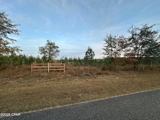 000 Bright Prospect Rd, Marianna, FL 32448