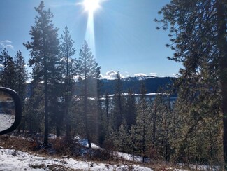 Lot 34 E Canyon Springs Way, Loon Lake, WA 99148