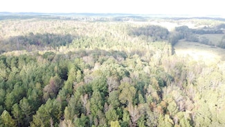 0-TR 5 County Rd 408, Abernathy, AL 36264