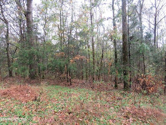 0 Hilltop Ln, Gainesboro, TN 38562