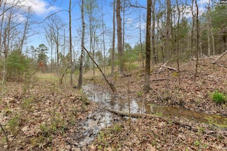 2482 State Road S-20-22, Winnsboro, SC 29180