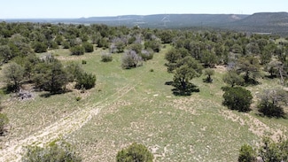 Lot 16 Swayback Trail, Corona, NM 87047