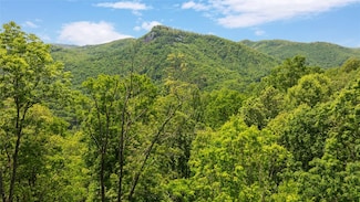 Lot 59 Waterdance Dr, Tuckasegee, NC 28783