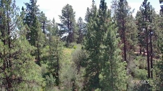 0 Margi Way Unit 3007607, Chemult, OR 97624